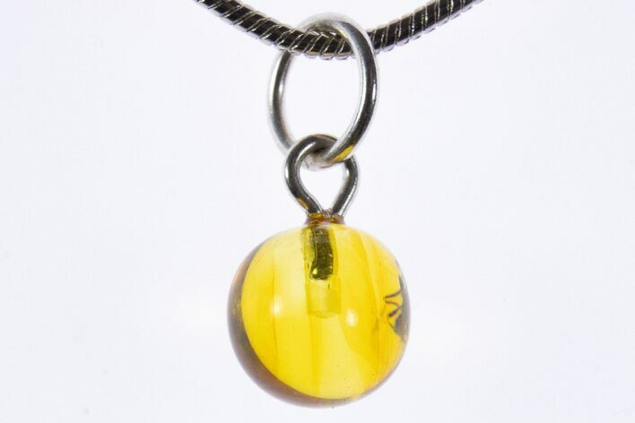 Polished Baltic Amber Pendant (Necklace) - Contains Fly! #339591